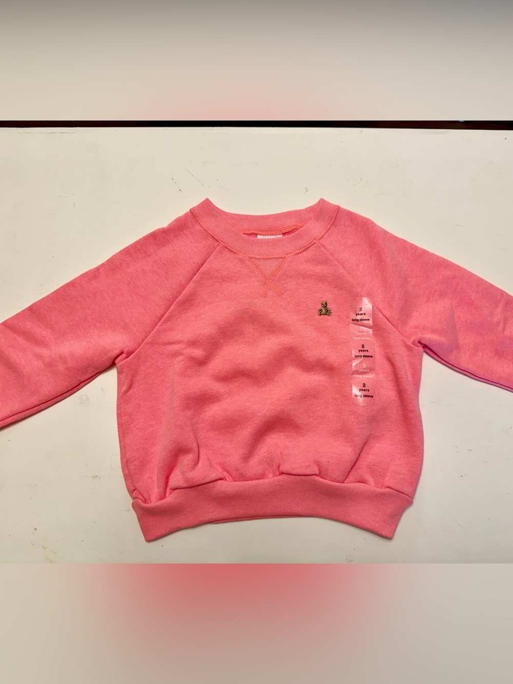 GAP Pink Crewneck Sweatshirt with Teddy Patch